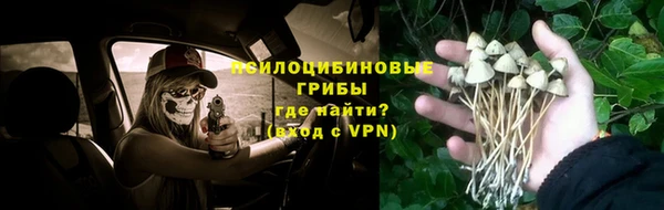 ECSTASY Новодвинск